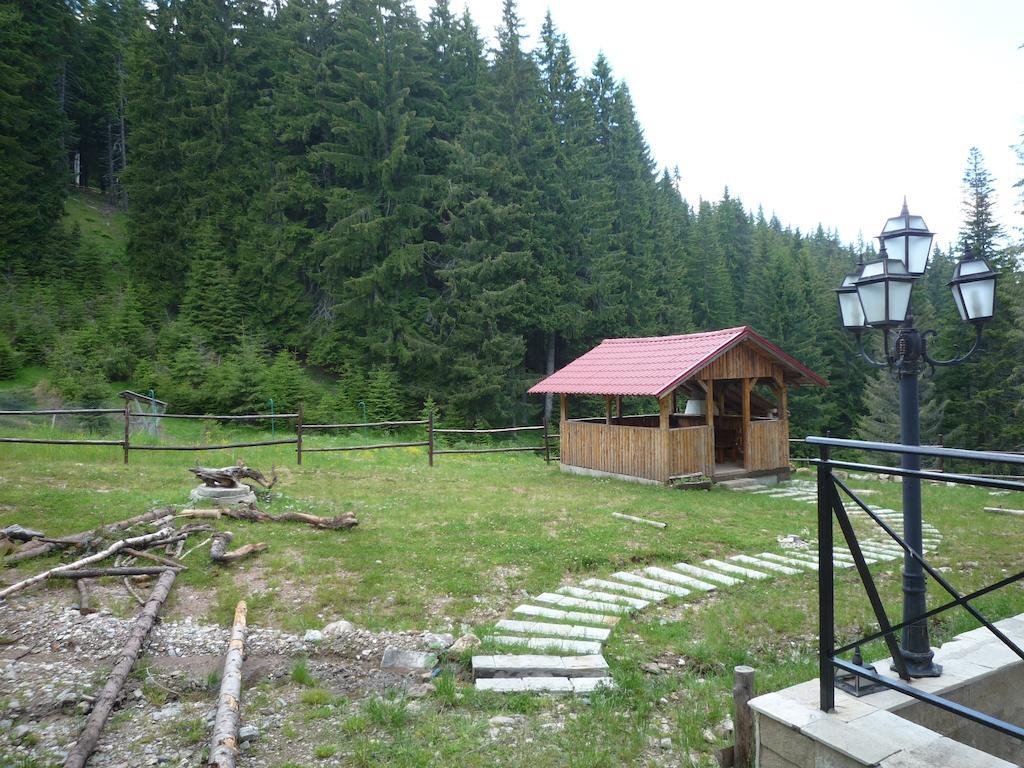Ski Apartment In Castle Complex Pamporovo Pokoj fotografie
