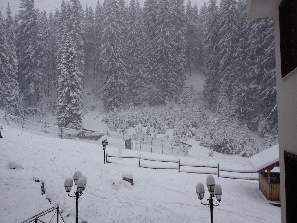 Ski Apartment In Castle Complex Pamporovo Pokoj fotografie